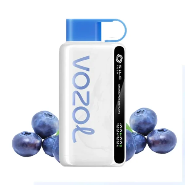 vozol-12000-blueberry-storm